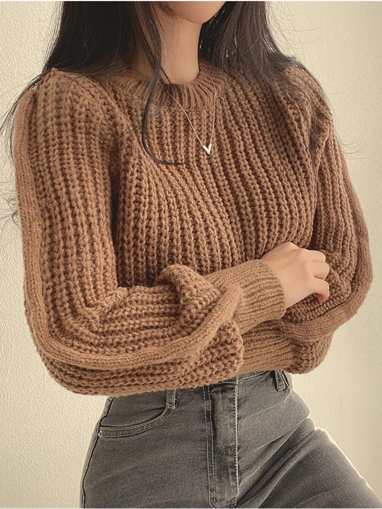 Loose Vintage Long Sleeve Knit Sweater.